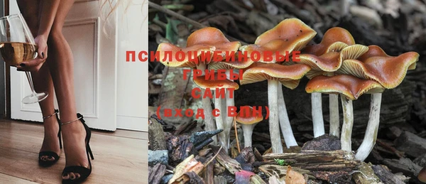 ПСИЛОЦИБИНОВЫЕ ГРИБЫ Красноперекопск