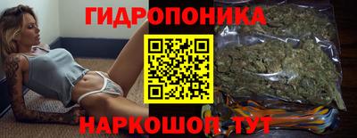 прущие грибы Заводоуковск